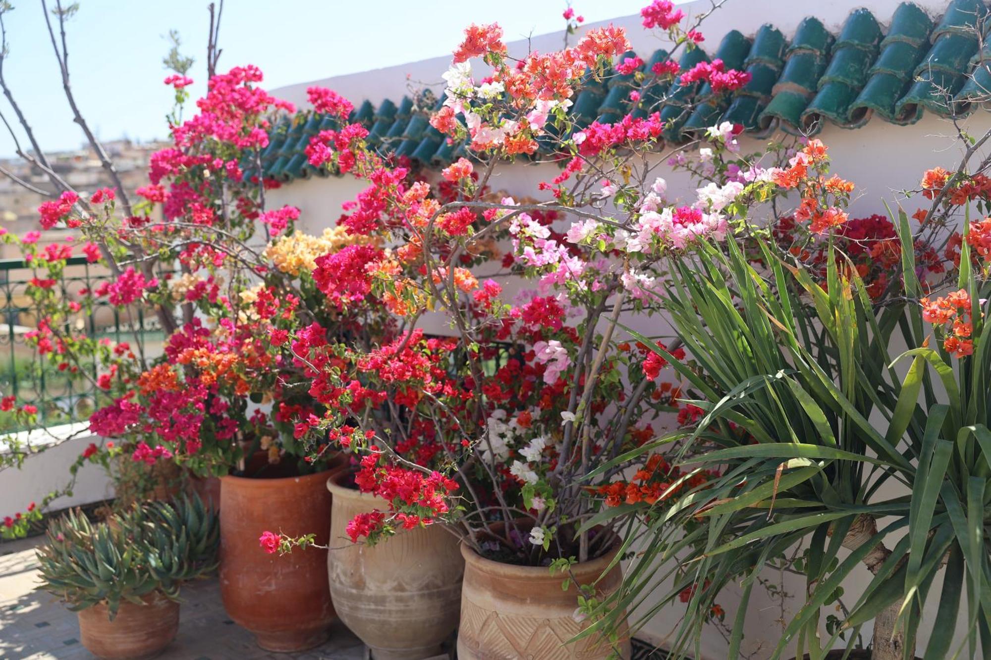 Riad Batchisarai Fez Exterior foto